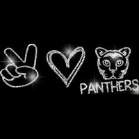 GLT86 SILVER GLITTER Thumbnail