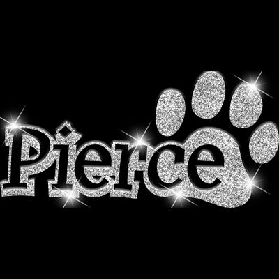 GLT17 SILVER GLITTER Thumbnail